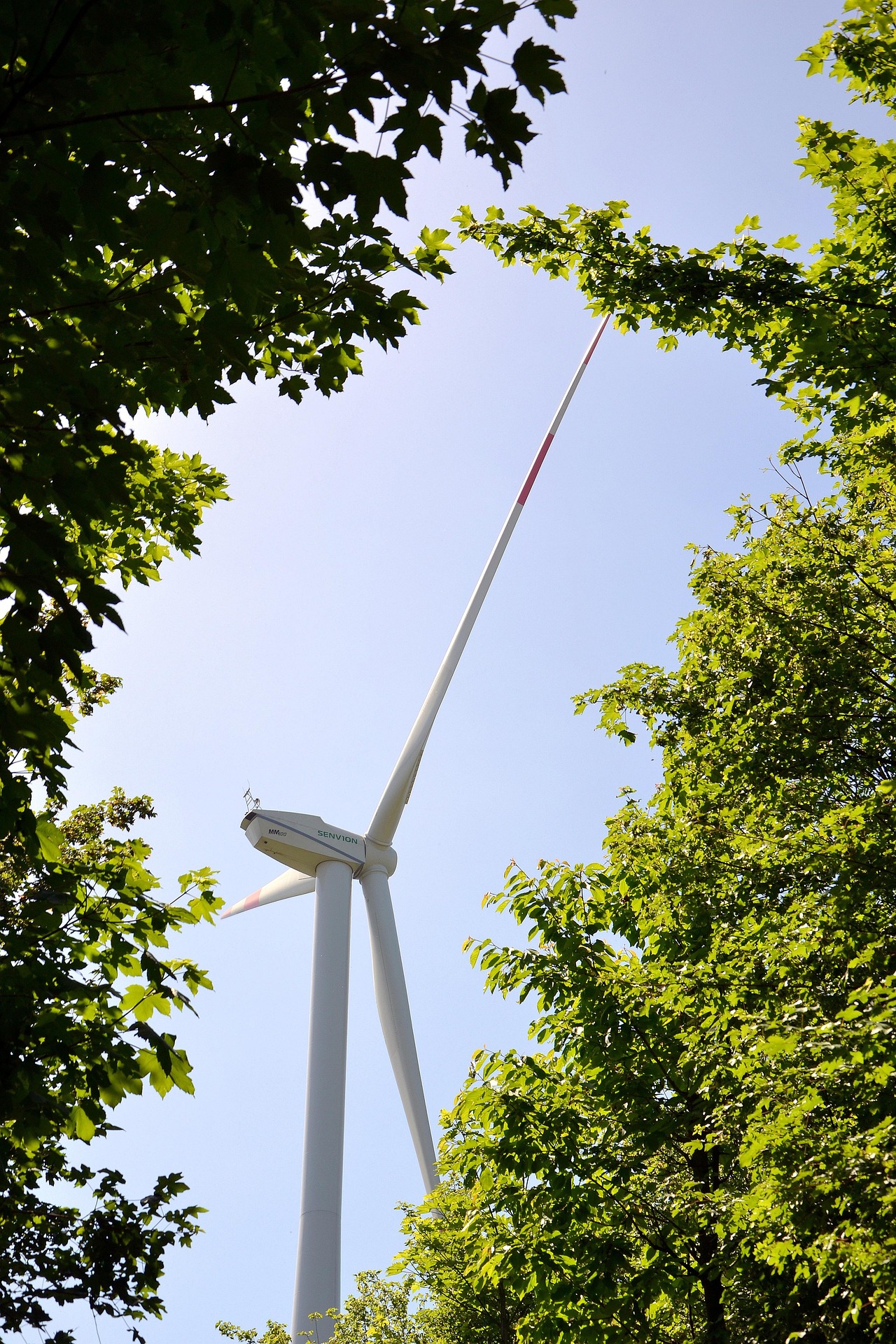 wind-power-7492989_1920
